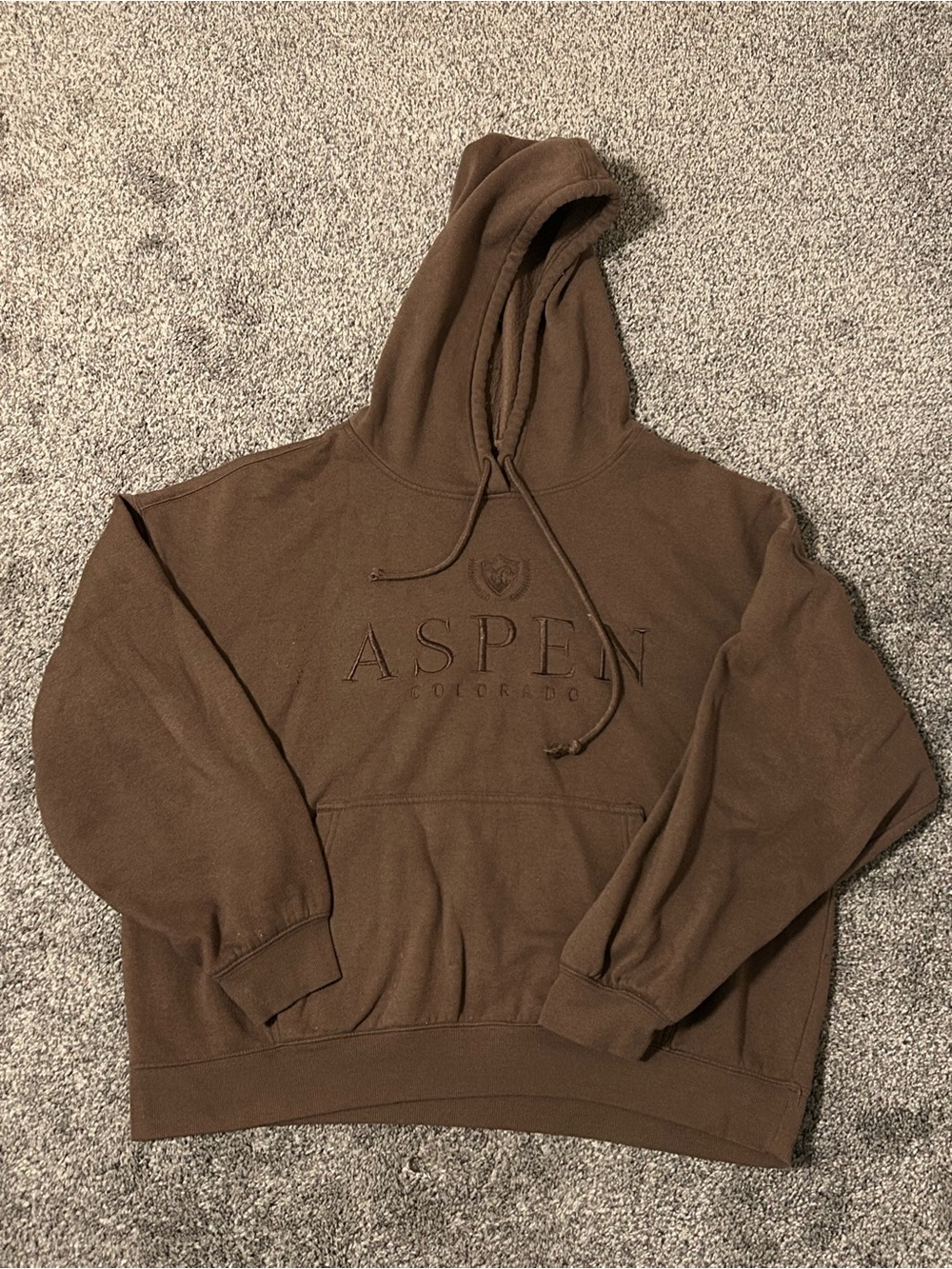 Aspen Embroidered Brown Hoodie Sweatshirt